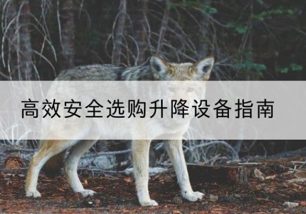 丹棱升降货梯厂家推荐-*安全选购升降设备指南