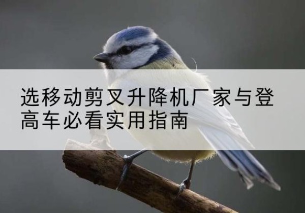 丹棱电动升降机厂家-选移动剪叉升降机厂家与登高车必看实用指南