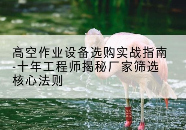 丹棱剪叉式升降机厂家-高空作业设备选购实战指南-十年工程师揭秘厂家筛选核心法则